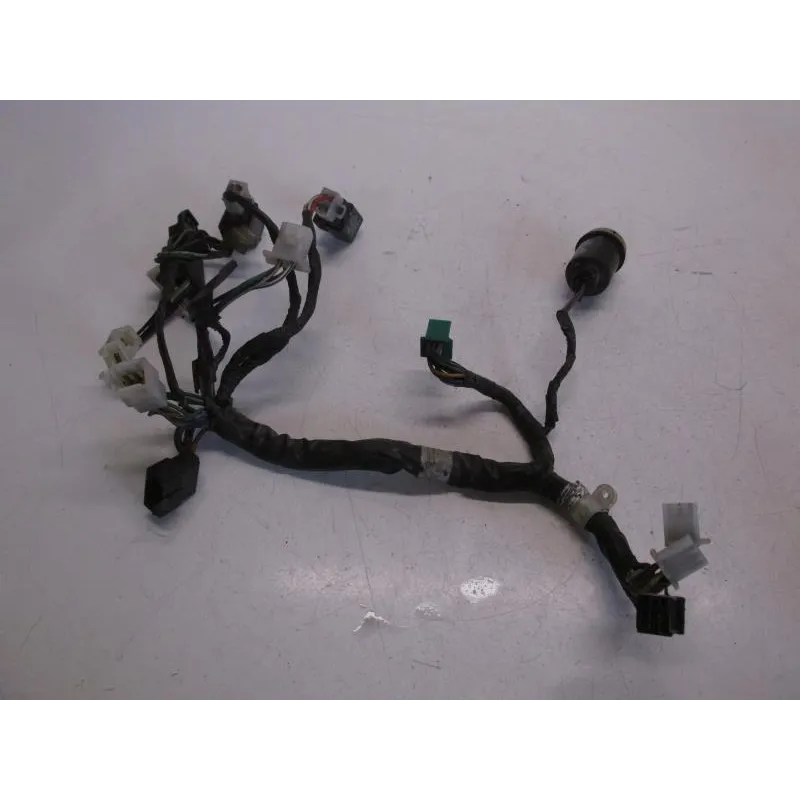 Faisceau electrique KYMCO EGO 250 2001-2003