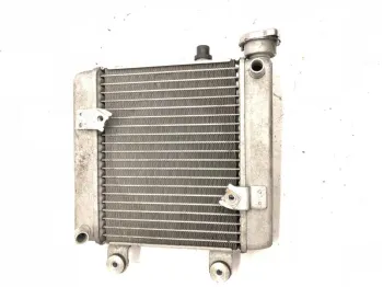 Radiateur eau HONDA FES 125 2007-2013 S-WING