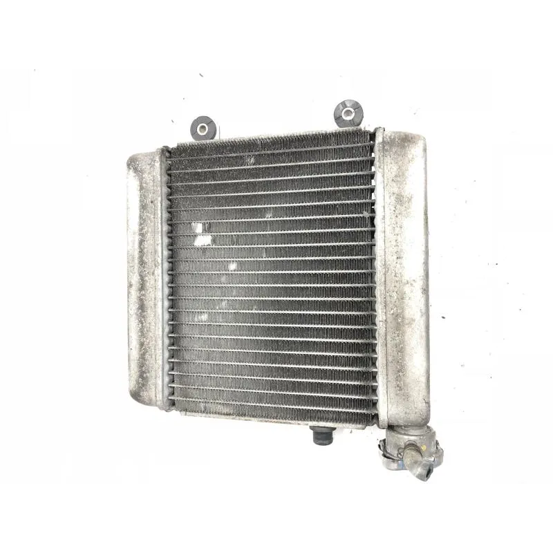 Radiateur eau HONDA FES 125 2007-2013 S-WING