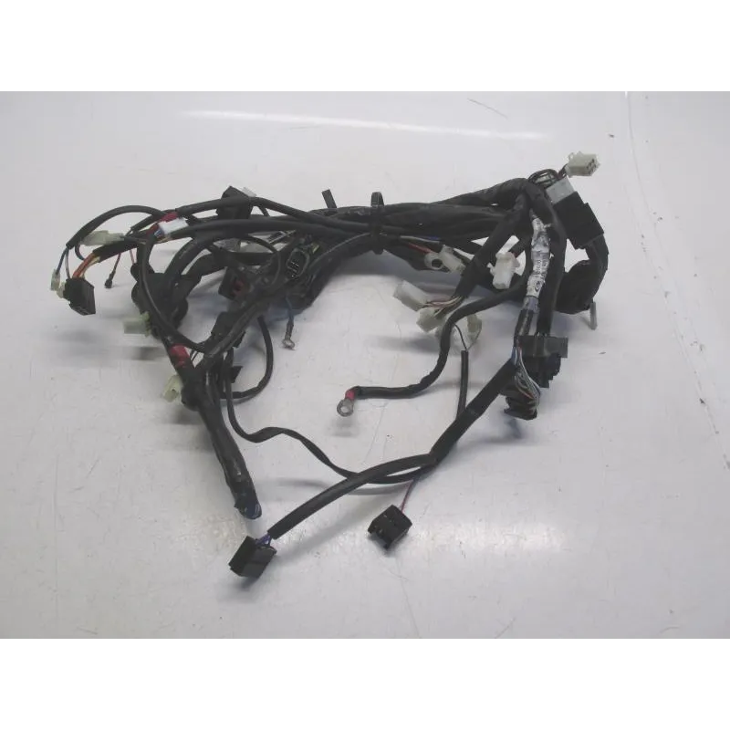 Faisceau electrique APRILIA ATLANTIC 125 2003-2009