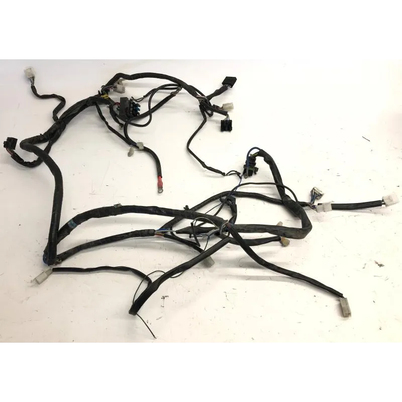 Faisceau electrique APRILIA SCARABEO 125 2004-2006