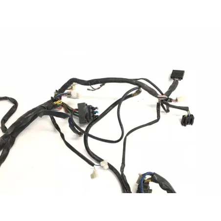 Faisceau electrique APRILIA SCARABEO 125 2004-2006