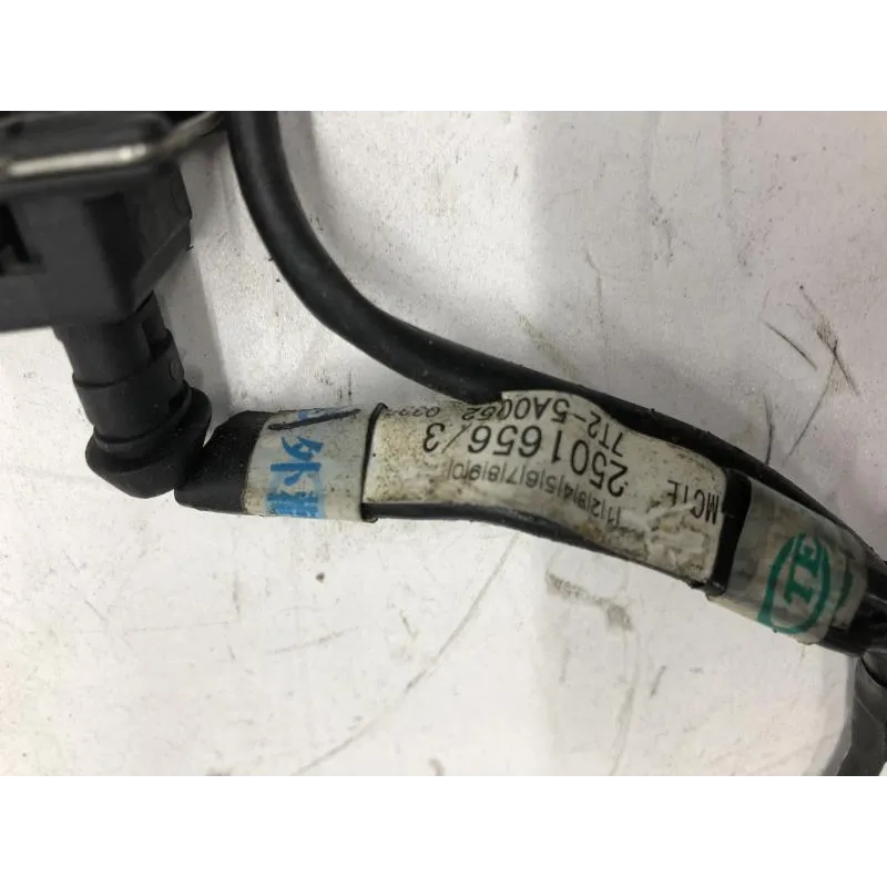 Faisceau electrique TRIUMPH DAYTONA 675 2006-2008