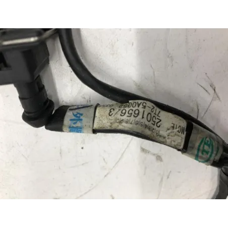 Faisceau electrique TRIUMPH DAYTONA 675 2006-2008