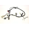 Faisceau electrique HONDA PCX 125 2012-2013 Faisceau electrique HONDA PCX 125 2012-2013
