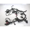 Faisceau electrique HONDA CB 500 F 2013-2015 Faisceau electrique HONDA CB 500 F 2013-2015