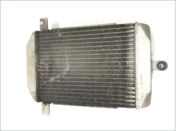 Radiateur eau SUZUKI AN 400 2003-2006 BURGMAN