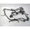 Faisceau electrique SUZUKI AN 400 2011-2016 BURGMAN Faisceau electrique SUZUKI AN 400 2011-2016 BURGMAN