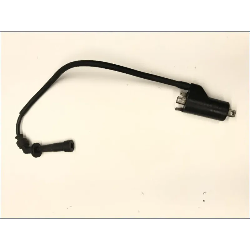 Bobine allumage SUZUKI SV 650 N 1999-2002