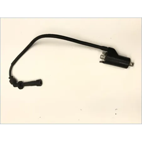 Bobine allumage SUZUKI SV 650 N 1999-2002