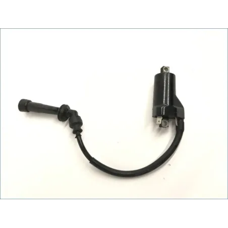 Bobine allumage SUZUKI SV 650 N 1999-2002