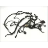 Faisceau electrique SUZUKI AN 400 2007-2010 BURGMAN