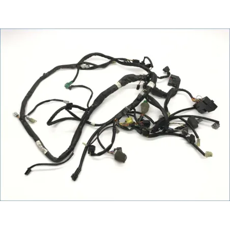 Faisceau electrique SUZUKI AN 400 2007-2010 BURGMAN
