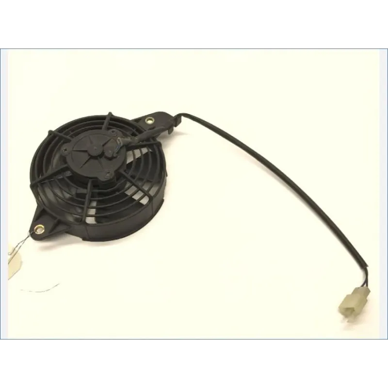 Ventilateur HONDA FES 125 2003-2006 PANTHEON