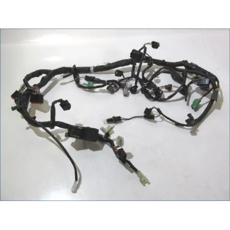 Faisceau electrique SUZUKI SFV 650 2009-2016 GLADIUS ABS