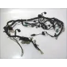Faisceau electrique SUZUKI SFV 650 2009-2016 GLADIUS ABS Faisceau electrique SUZUKI SFV 650 2009-2016 GLADIUS ABS