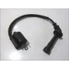 Bobine allumage SUZUKI SV 1000 S 2003-2005 Bobine allumage SUZUKI SV 1000 S 2003-2005