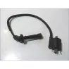 Bobine allumage SUZUKI SV 1000 S 2003-2005 Bobine allumage SUZUKI SV 1000 S 2003-2005