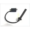 Bobine allumage YAMAHA TDM 900 2002-2014