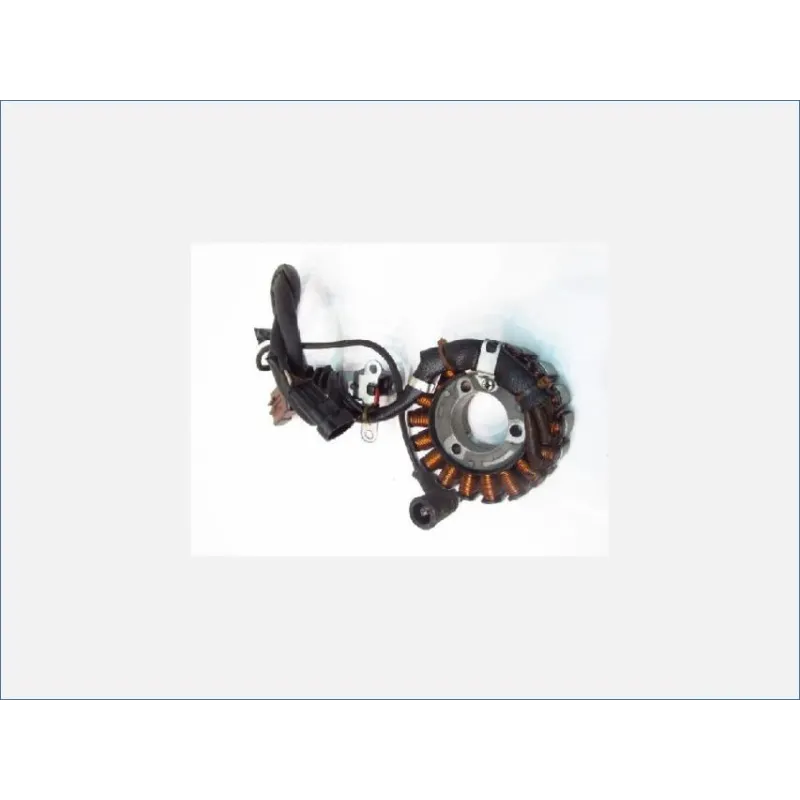 Stator alternateur PIAGGIO VESPA GTS 250 2005-2014