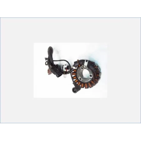 Stator alternateur PIAGGIO VESPA GTS 250 2005-2014