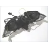 Optique (feux)(phare) PIAGGIO X9 125 2003-2007