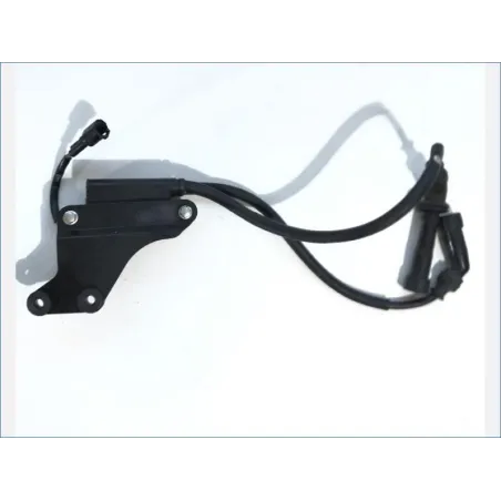 Bobine allumage SUZUKI SV 650 S 2007-2015