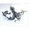 Faisceau electrique HONDA PCX 125 2010-2011 Faisceau electrique HONDA PCX 125 2010-2011