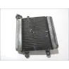 Radiateur eau HONDA FES 125 2007-2013 S-WING