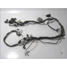Faisceau electrique HONDA CBF 600 2004-2007 N