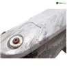 Silencieux (echappement) PEUGEOT SATELIS 250 2006-2011