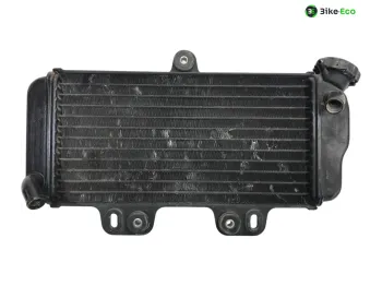 Radiateur eau YAMAHA TDR 125 1997-2003