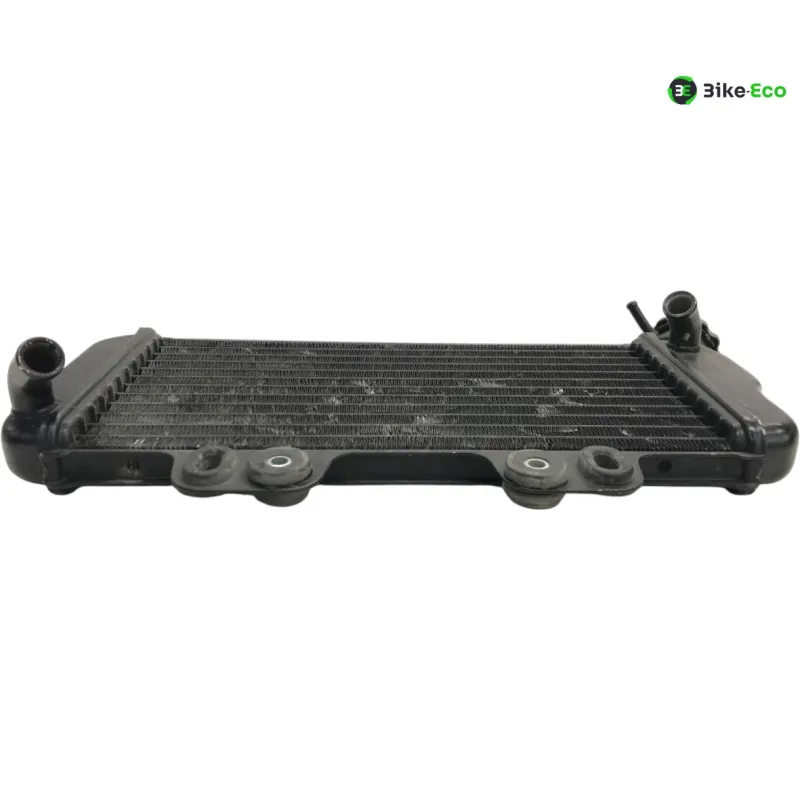 Radiateur eau YAMAHA TDR 125 1997-2003