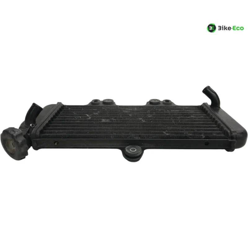 Radiateur eau YAMAHA TDR 125 1997-2003