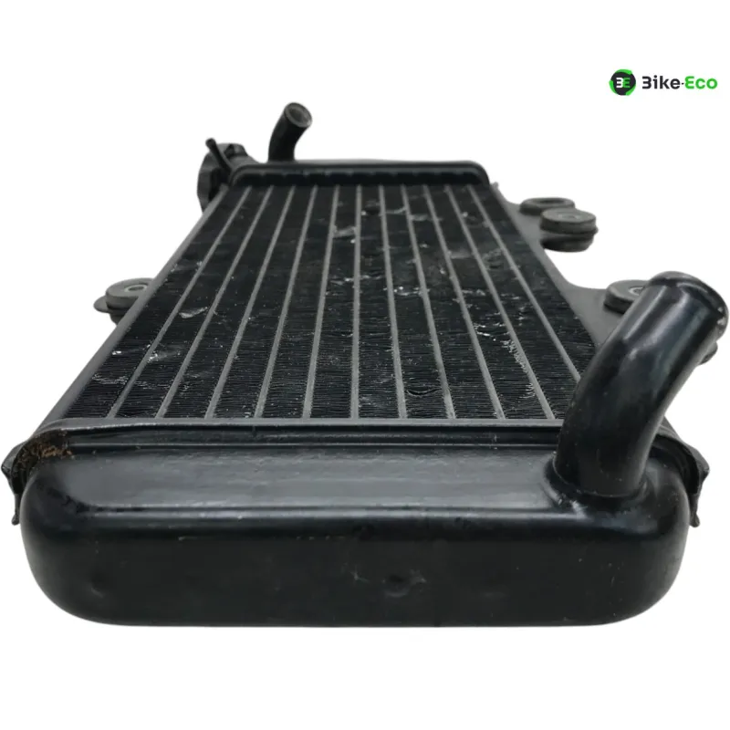 Radiateur eau YAMAHA TDR 125 1997-2003