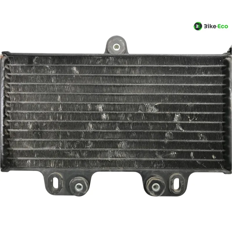Radiateur eau YAMAHA TDR 125 1997-2003