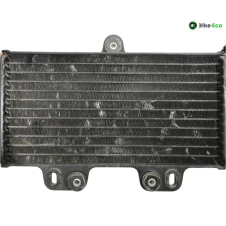 Radiateur eau YAMAHA TDR 125 1997-2003