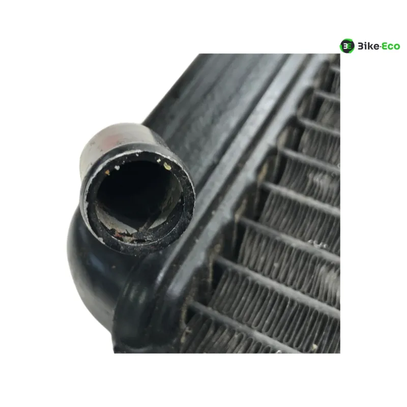 Radiateur eau YAMAHA TDR 125 1997-2003