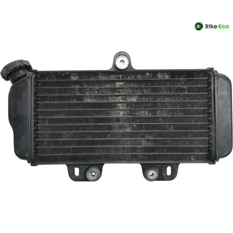 Radiateur eau YAMAHA TDR 125 1997-2003