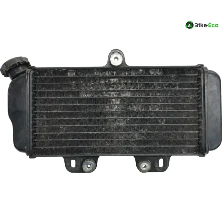 Radiateur eau YAMAHA TDR 125 1997-2003