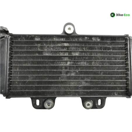Radiateur eau YAMAHA TDR 125 1997-2003