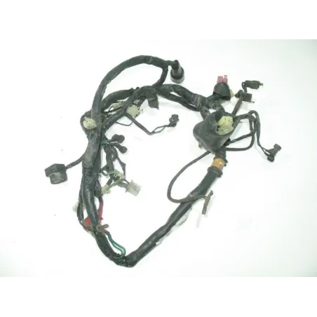 Faisceau electrique HONDA XL V 600 1987-1990 TRANSALP