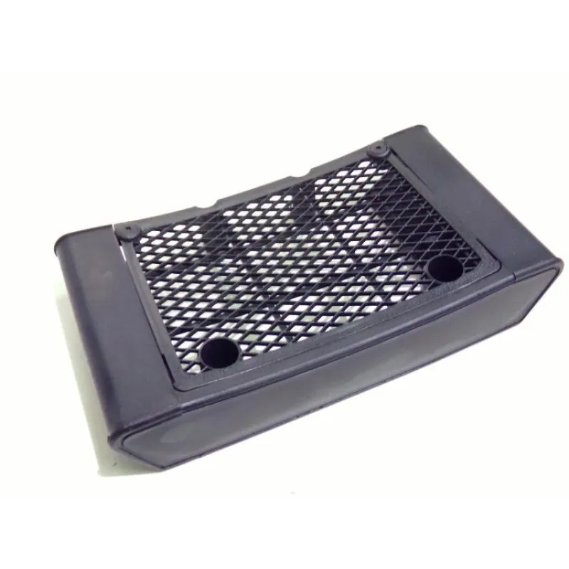 Grille de radiateur DAELIM VL 125 1999-2006 DAYSTAR