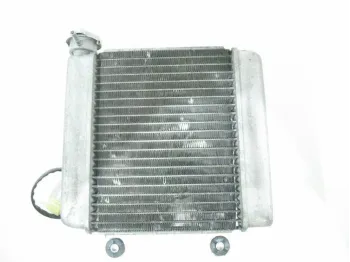 Radiateur eau HONDA FES 125 2003-2006 PANTHEON
