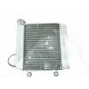 Radiateur eau HONDA FES 125 2003-2006 PANTHEON