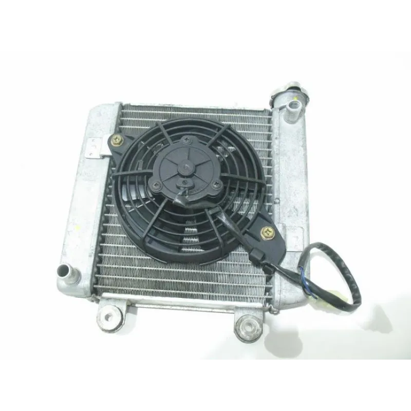 Radiateur eau HONDA FES 125 2003-2006 PANTHEON