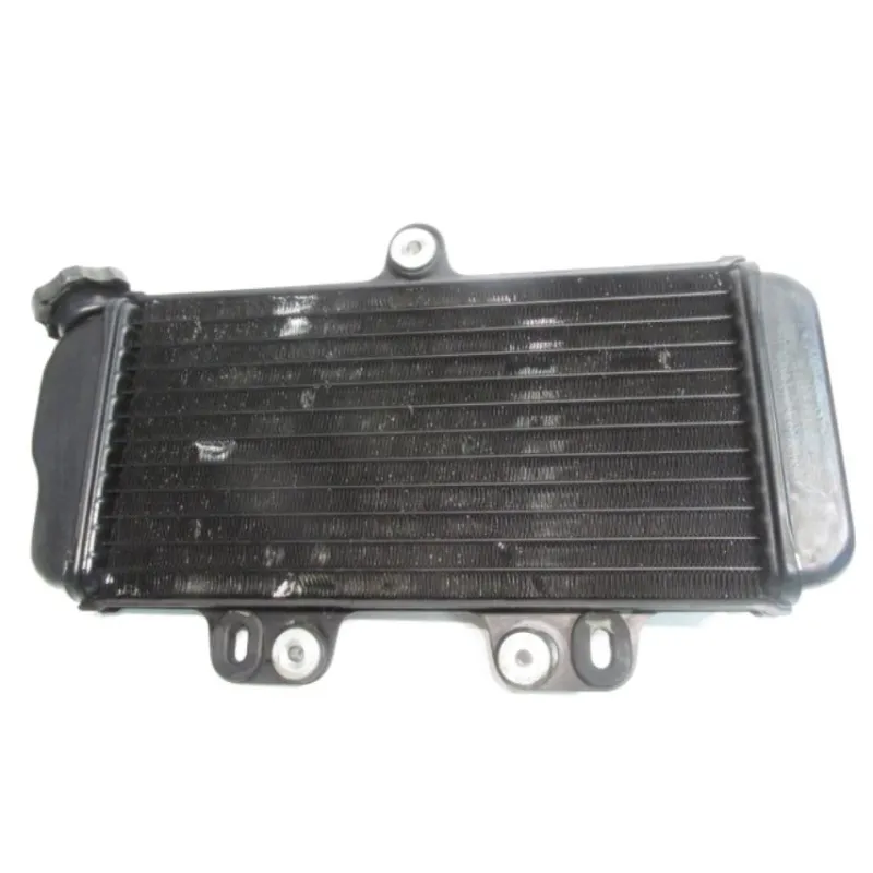 Radiateur eau YAMAHA TDR 125 1993-1996