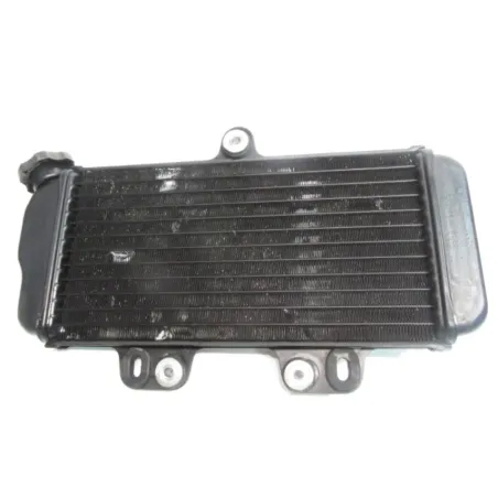 Radiateur eau YAMAHA TDR 125 1993-1996