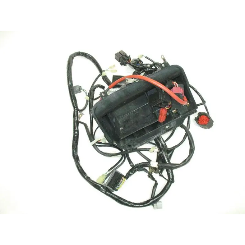 Faisceau electrique HONDA FES 125 2003-2006 PANTHEON
