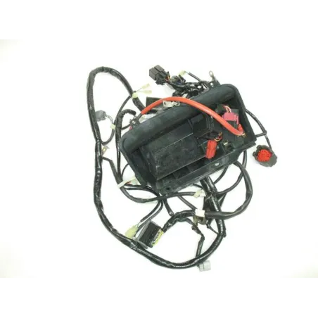 Faisceau electrique HONDA FES 125 2003-2006 PANTHEON